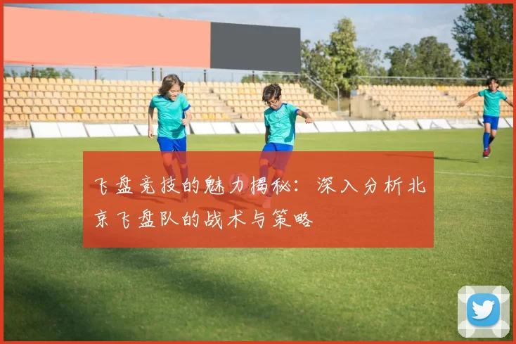 飞盘竞技的魅力揭秘：深入分析北京飞盘队的战术与策略