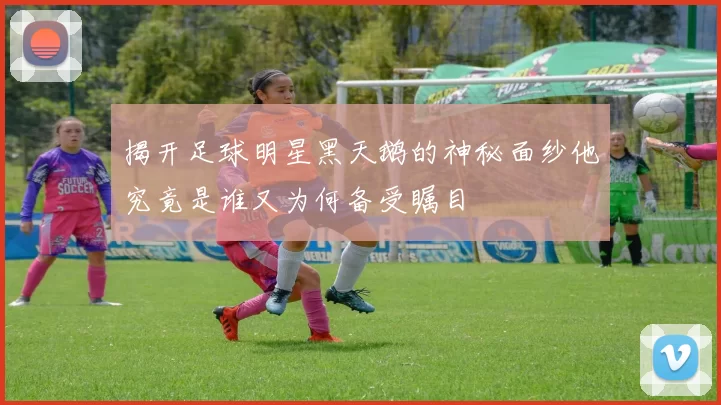揭开足球明星黑天鹅的神秘面纱他究竟是谁又为何备受瞩目