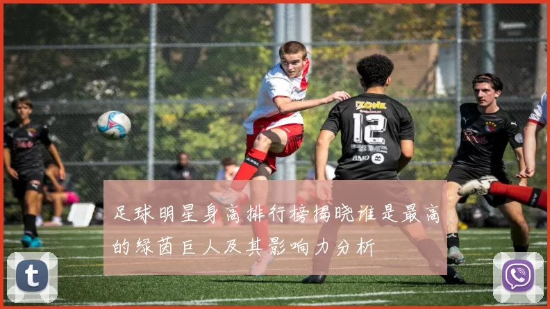 足球明星身高排行榜揭晓谁是最高的绿茵巨人及其影响力分析