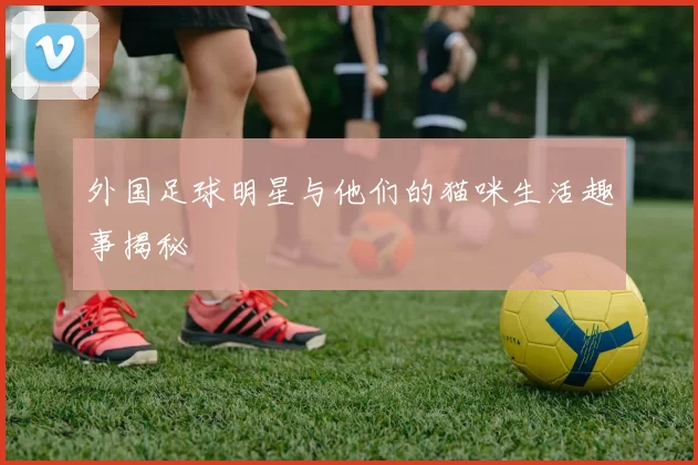 外国足球明星与他们的猫咪生活趣事揭秘