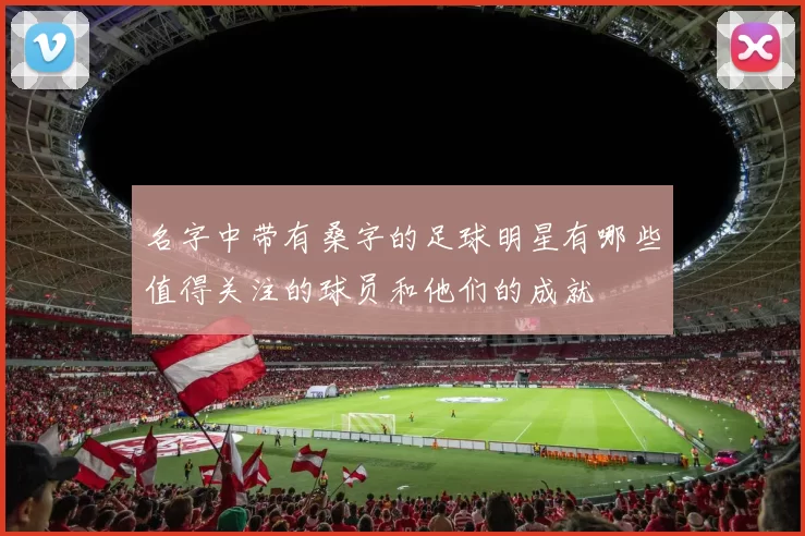 名字中带有桑字的足球明星有哪些值得关注的球员和他们的成就