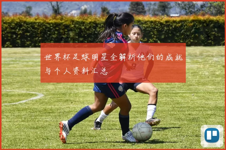 世界杯足球明星全解析他们的成就与个人资料汇总