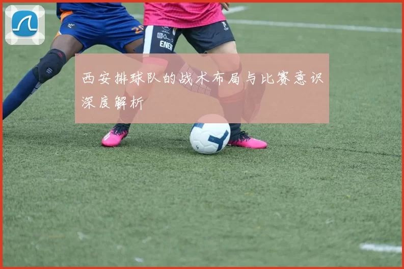 西安排球队的战术布局与比赛意识深度解析
