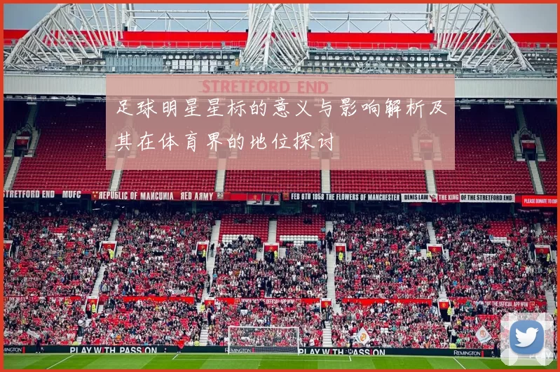 足球明星星标的意义与影响解析及其在体育界的地位探讨