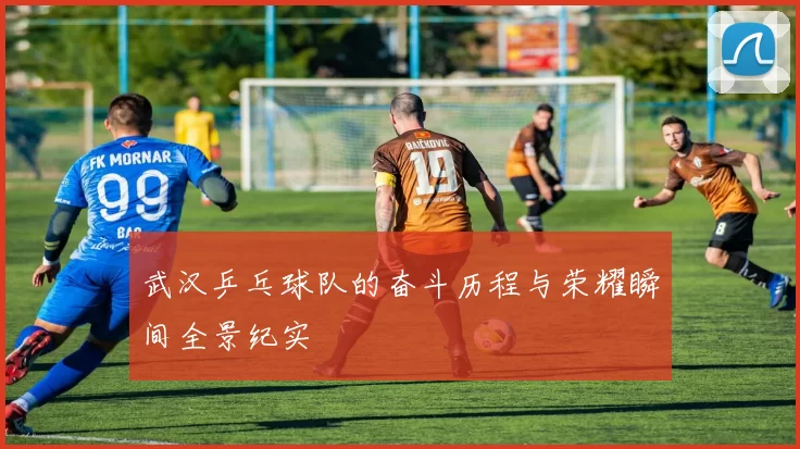 武汉乒乓球队的奋斗历程与荣耀瞬间全景纪实