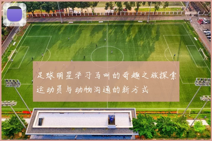 足球明星学习马叫的奇趣之旅探索运动员与动物沟通的新方式