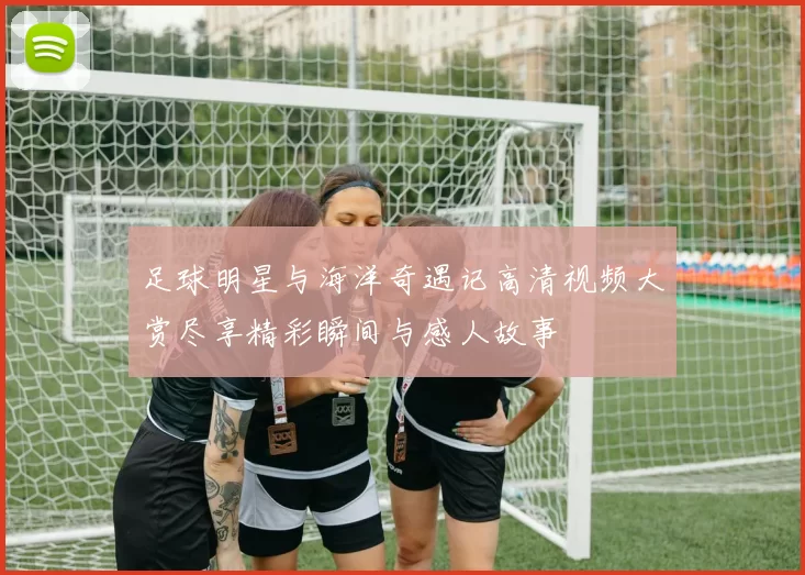 足球明星与海洋奇遇记高清视频大赏尽享精彩瞬间与感人故事