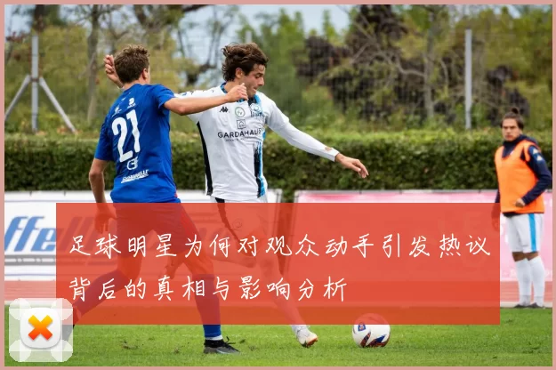足球明星为何对观众动手引发热议背后的真相与影响分析