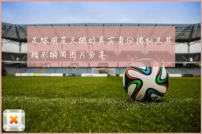 足球明星天鹅的真实身份揭秘及其精彩瞬间图片分享