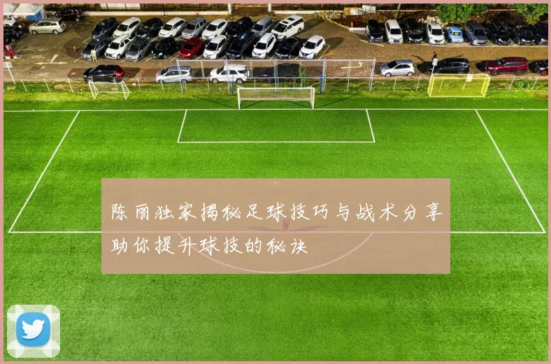 陈丽独家揭秘足球技巧与战术分享助你提升球技的秘诀