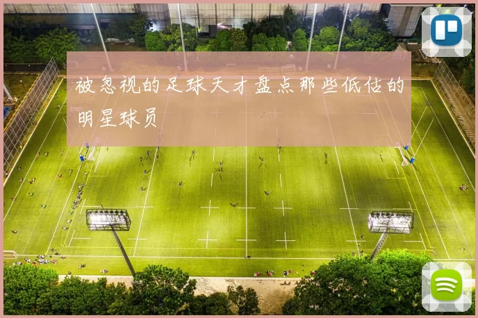 被忽视的足球天才盘点那些低估的明星球员