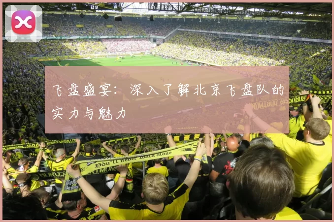 飞盘盛宴：深入了解北京飞盘队的实力与魅力