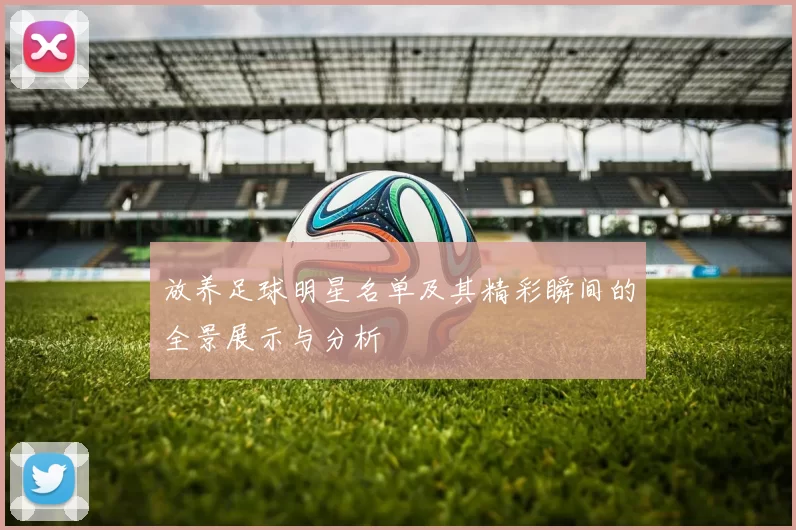 放养足球明星名单及其精彩瞬间的全景展示与分析