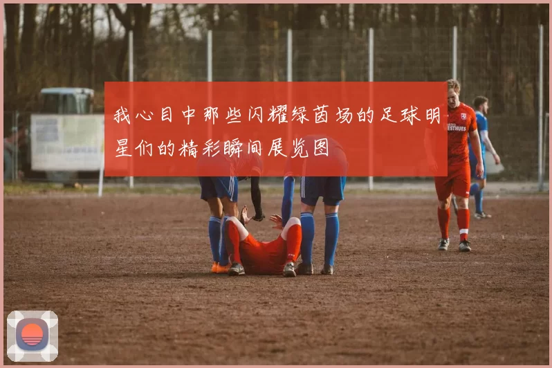 我心目中那些闪耀绿茵场的足球明星们的精彩瞬间展览图