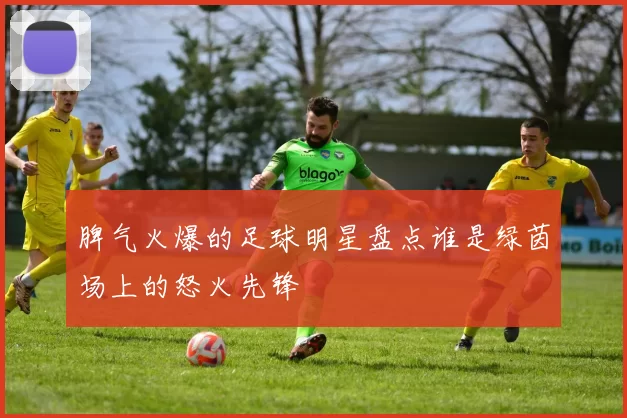 脾气火爆的足球明星盘点谁是绿茵场上的怒火先锋
