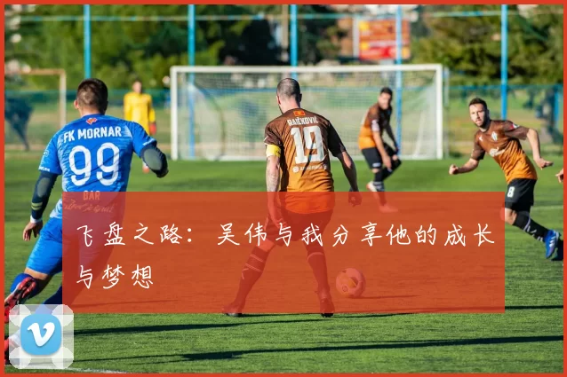 飞盘之路：吴伟与我分享他的成长与梦想