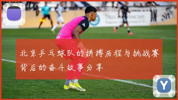 北京乒乓球队的拼搏历程与挑战赛背后的奋斗故事分享