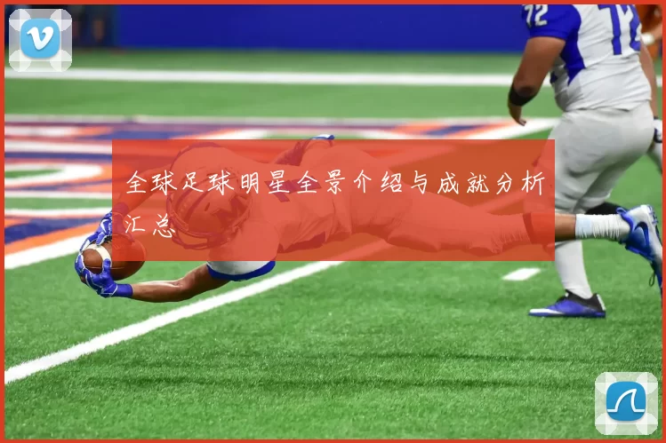 全球足球明星全景介绍与成就分析汇总