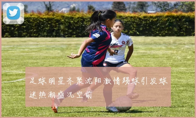 足球明星齐聚沈阳激情踢球引发球迷热潮盛况空前