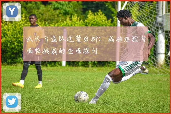 武汉飞盘队运营分析：成功经验与面临挑战的全面探讨