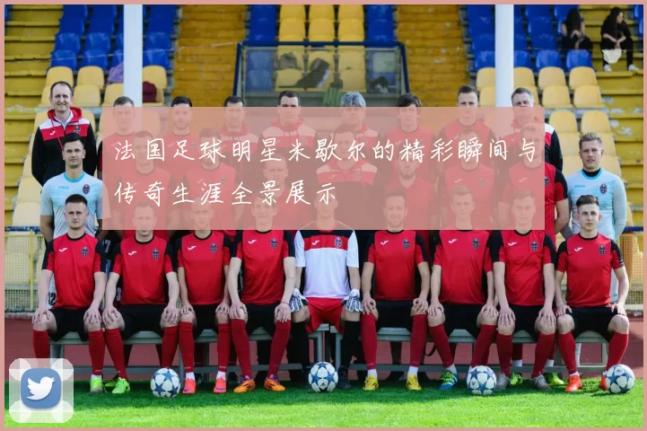 法国足球明星米歇尔的精彩瞬间与传奇生涯全景展示