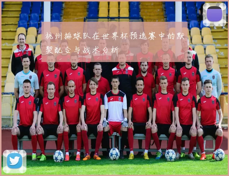 杭州排球队在世界杯预选赛中的默契配合与战术分析