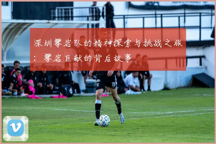 深圳攀岩队的精神探索与挑战之旅：攀岩巨献的背后故事