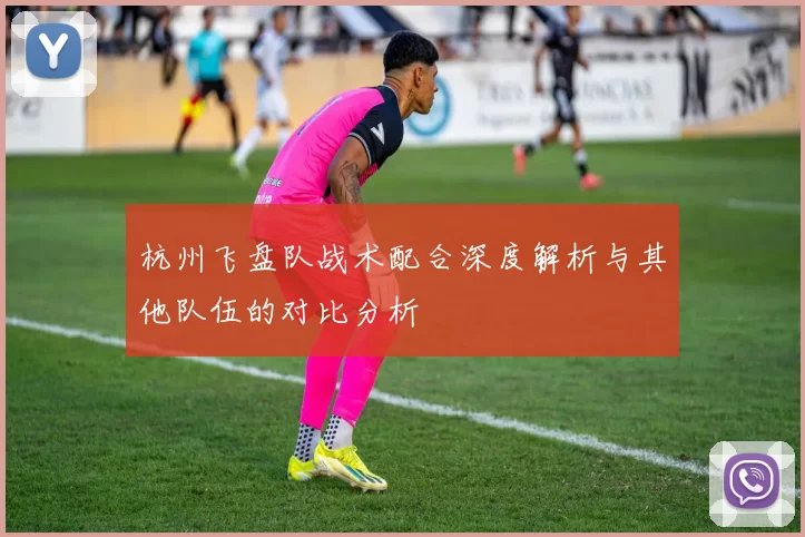 杭州飞盘队战术配合深度解析与其他队伍的对比分析